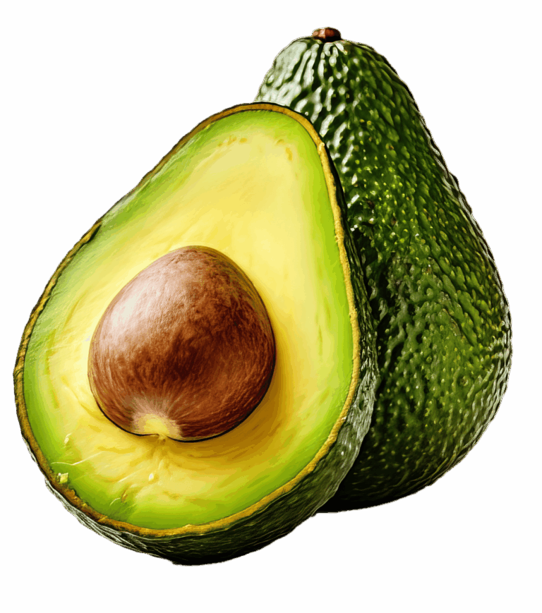 AVOCADO-PREMIUM